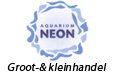Aquarium Neon