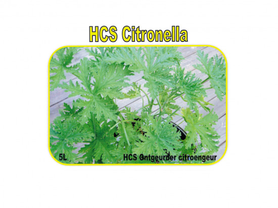 HCS - Citronella 5 L