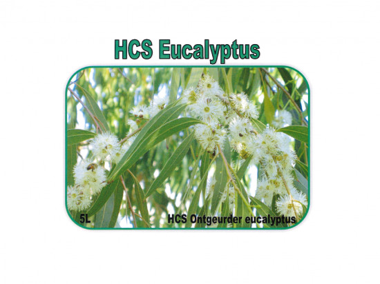 HCS - Eucalyptus